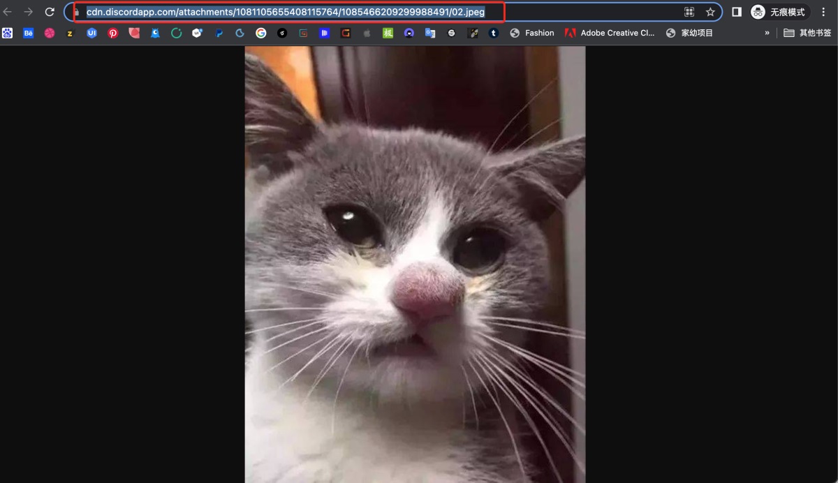超详细!AI 绘画神器 Midjourney 进阶使用手册