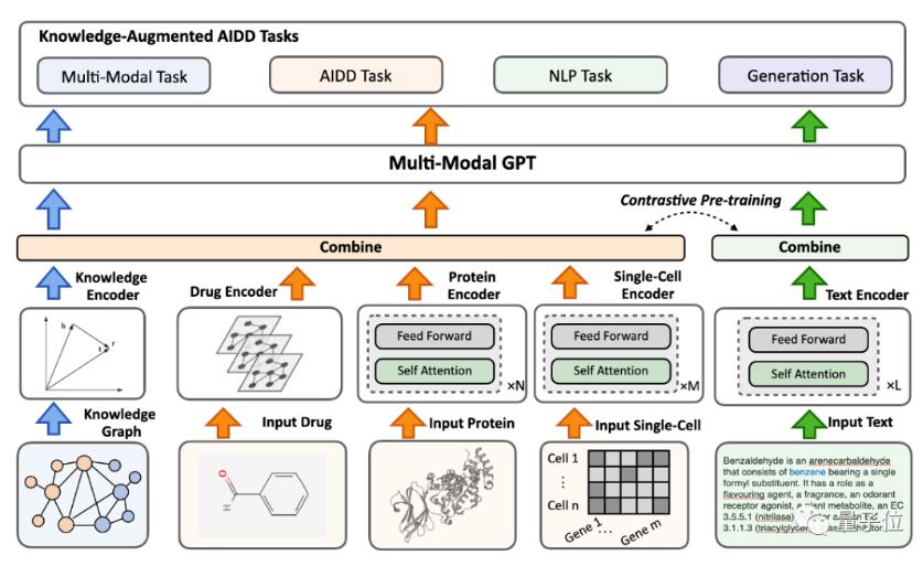 BioMedGPT-清华开源的生物医药基础模型