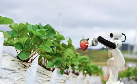 【AI+农业】机器人和AI助力澳大利亚落地首个“全自动免人工”农场