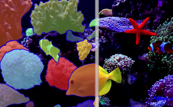 Segment Anything：首个图像分割基础模型