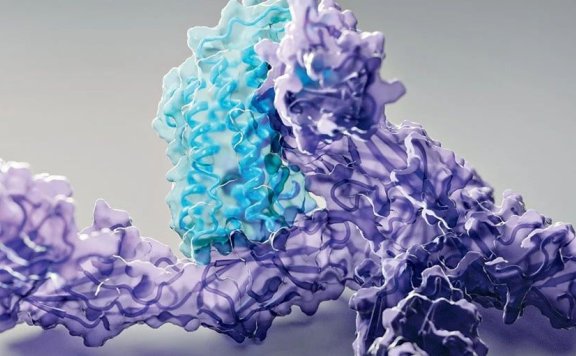 利用生成式AI提高蛋白质设计效率，荷兰生物科技公司Cradle获2400万美元A轮融资