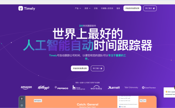 Timely-AI驱动的时间追踪管理软件