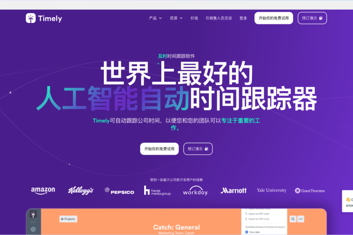 Timely-AI驱动的时间追踪管理软件 - AIHub